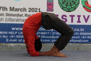 yoga pose -chakrasana